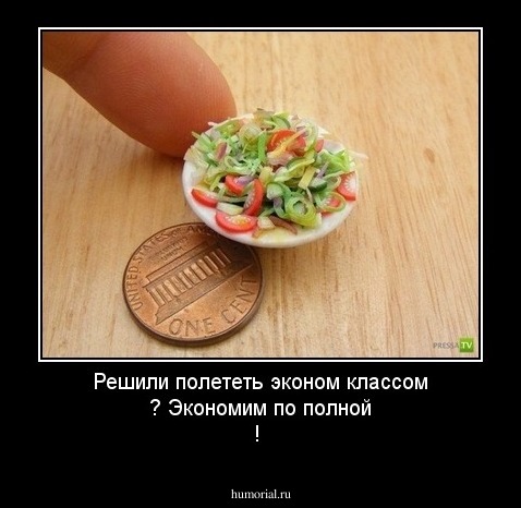 Решили полететь эконом классом ? Экономим по полной !