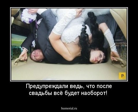Предупреждали ведь, что после свадьбы всё будет наоборот!
