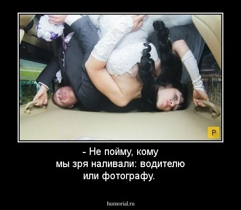 - Не пойму, кому мы зря наливали: водителю или фотографу.  