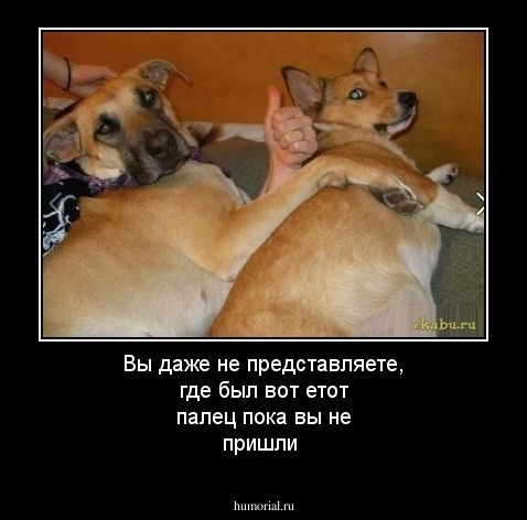 Вы даже не представляете, где был вот етот палец пока вы не пришли