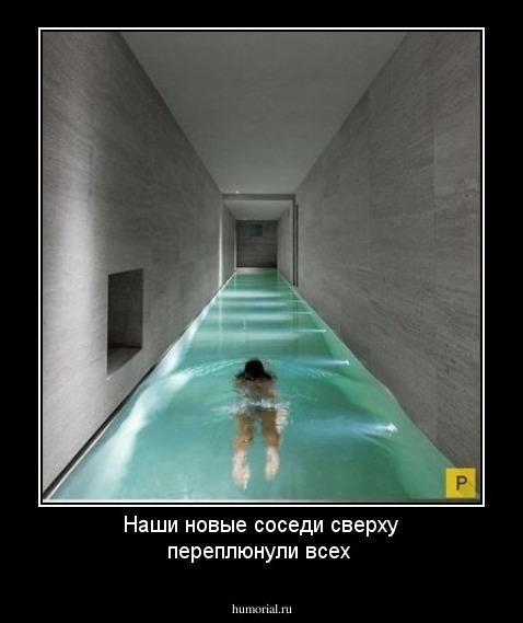 Наши новые соседи сверху переплюнули всех 