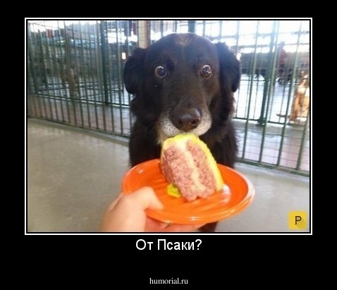 От Псаки?