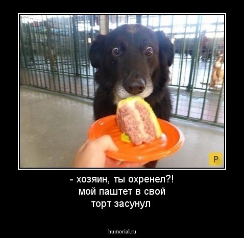 - хозяин, ты охренел?! мой паштет в свой торт засунул