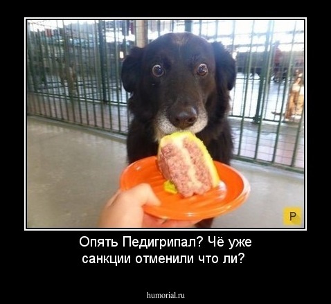 Опять Педигрипал? Чё уже санкции отменили что ли?