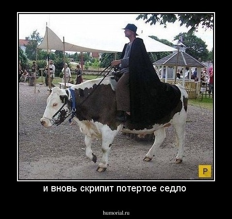 и вновь скрипит потертое седло 