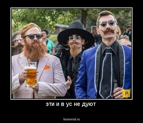 эти и в ус не дуют 