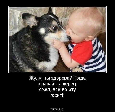 Жуля, ты здорова? Тогда спасай - я перец съел, все во рту горит!