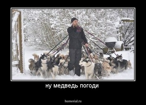 ну медведь погоди 