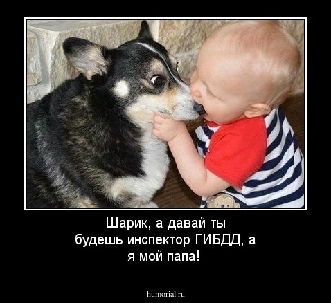 Шарик, а давай ты будешь инспектор ГИБДД, а я мой папа!