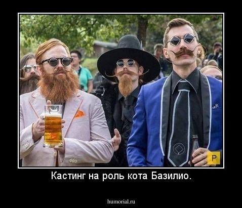 Кастинг на роль кота Базилио.