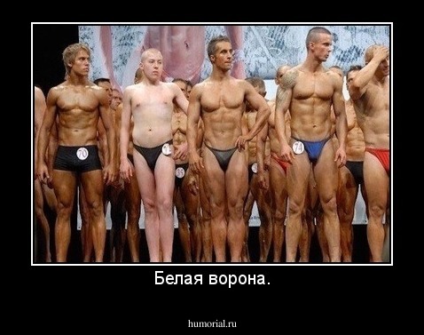 Белая ворона.
