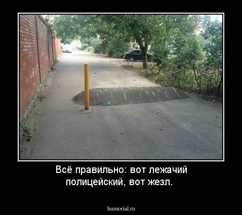 Всё правильно: вот лежачий полицейский, вот жезл.