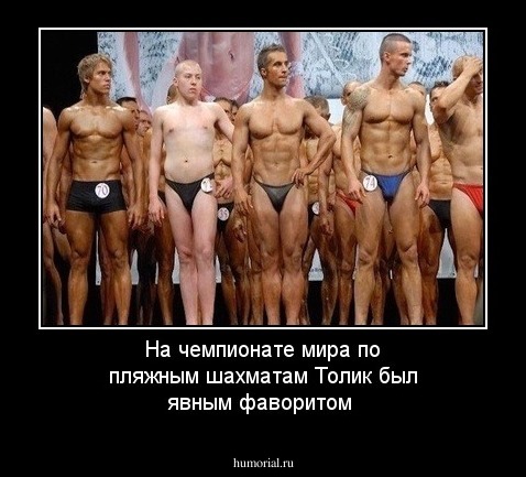 На чемпионате мира по  пляжным  шахматам  Толик был  явным   фаворитом  