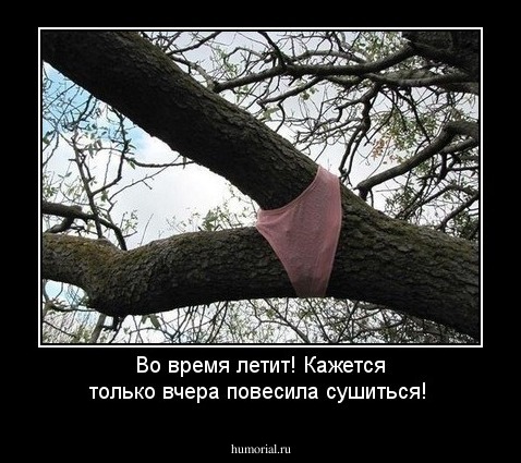 Во время летит! Кажется только вчера повесила сушиться!