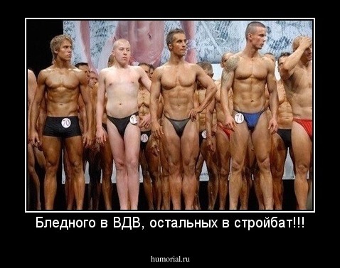 Бледного в ВДВ, остальных в стройбат!!!