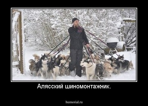 Алясский шиномонтажник.