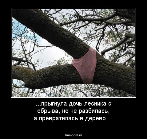 ...прыгнула дочь лесника с обрыва, но не разбилась, а превратилась в дерево...