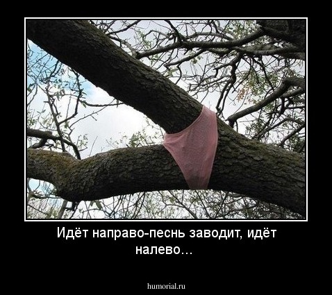 Идёт направо-песнь заводит, идёт налево...