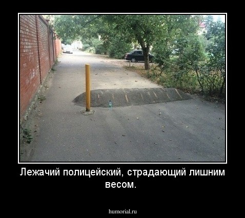 Лежачий полицейский, страдающий лишним весом.