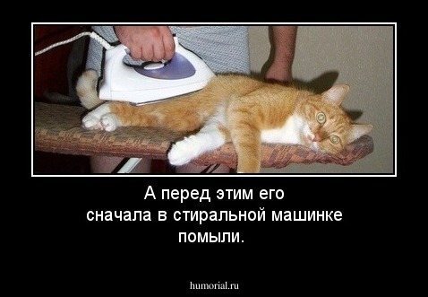 А перед этим его сначала в стиральной машинке помыли.