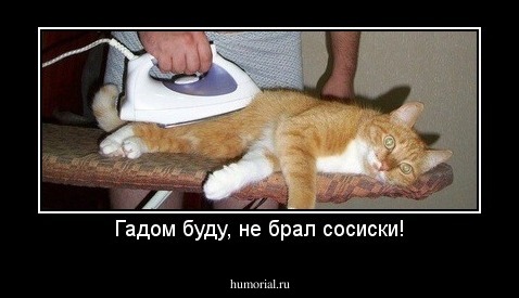 Гадом буду, не брал сосиски!