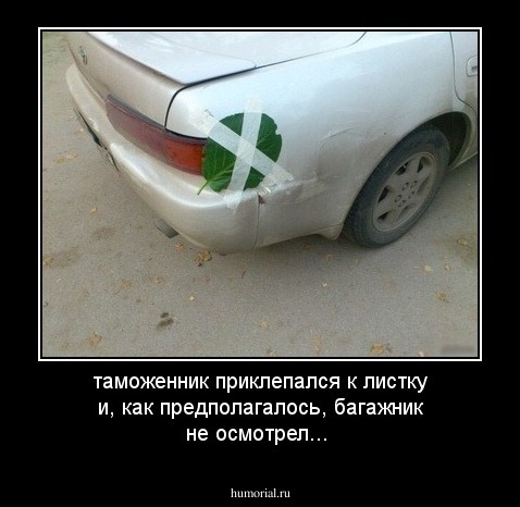 таможенник приклепался к листку и, как предполагалось, багажник не осмотрел...