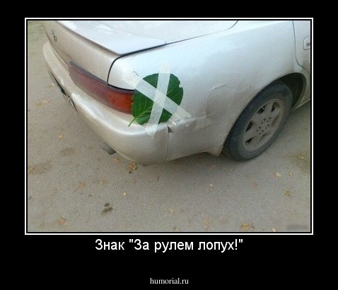 Знак "За рулем лопух!"