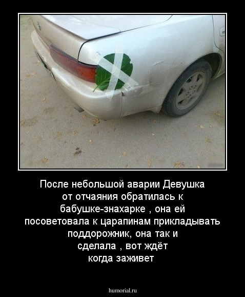 После небольшой аварии Девушка от отчаяния обратилась к бабушке-знахарке , она ей посоветовала к царапинам прикладывать поддорожник, она так и сделала , вот ждёт когда заживет  