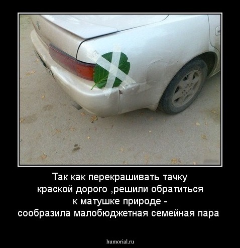 Так как перекрашивать тачку краской дорого ,решили обратиться к матушке природе - сообразила малобюджетная семейная пара 