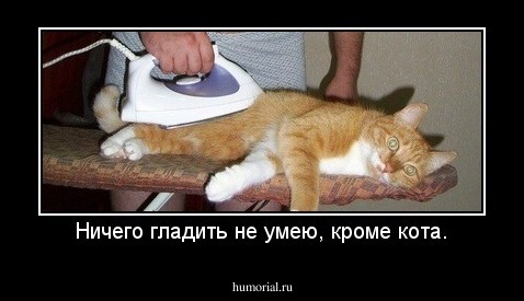 Ничего гладить не умею, кроме кота.