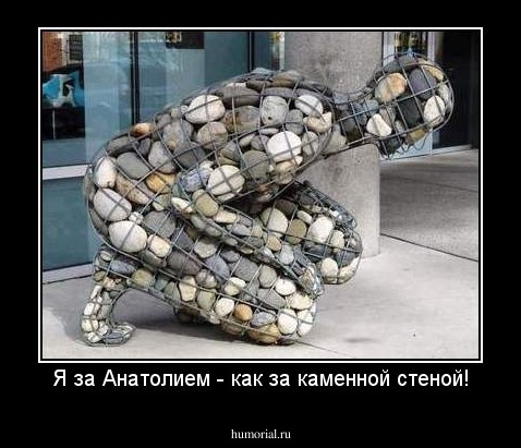 Я за Анатолием - как за каменной стеной!