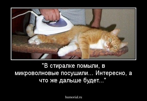 "В стиралке помыли, в микроволновые посушили... Интересно, а что же дальше будет..."