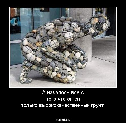 А началось все с того что он ел только высококачественный грунт  