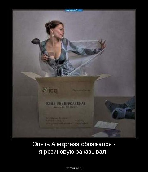 Опять Aliexpress облажался - я резиновую заказывал!