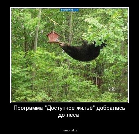 Программа  "Доступное жильё" добралась  до леса