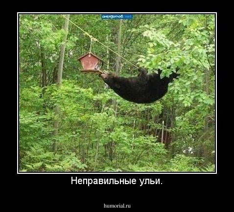 Неправильные ульи.