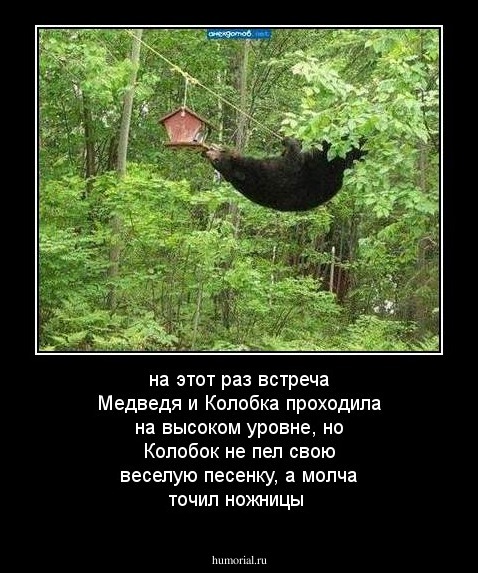 на этот раз встреча Медведя и Колобка проходила на высоком уровне, но Колобок не пел свою веселую песенку, а молча точил ножницы
