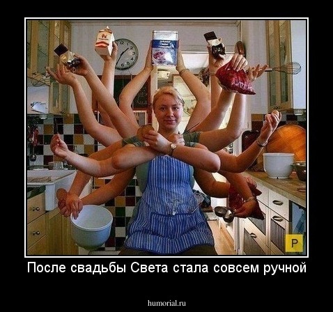 После свадьбы Света стала совсем ручной