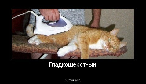 Гладкошерстный.