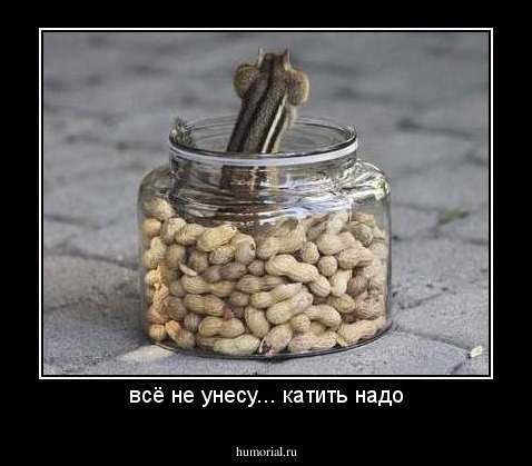 всё не унесу... катить надо