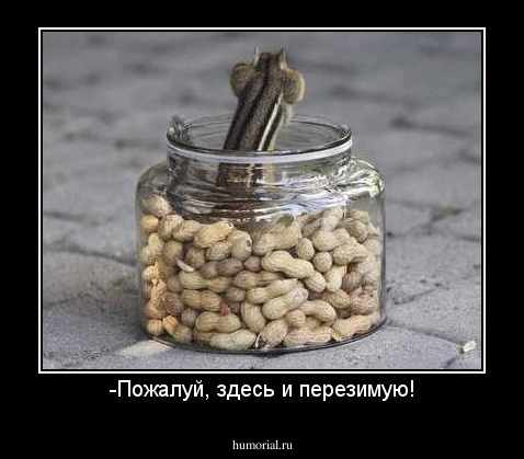 -Пожалуй, здесь и перезимую!