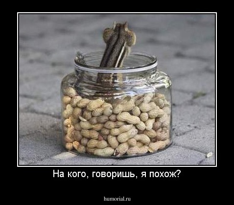 На кого, говоришь, я похож?