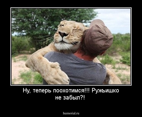 Ну, теперь поохотимся!!! Ружьишко не забыл?!