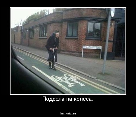 Подсела на колеса.