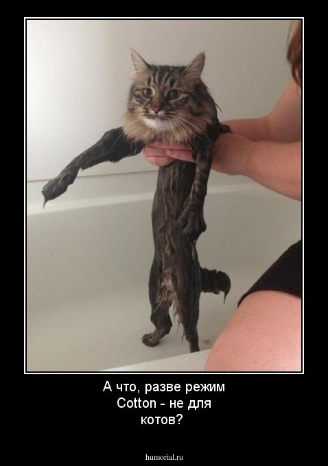 А что, разве режим Cotton - не для котов?