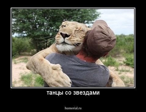 танцы со звездами