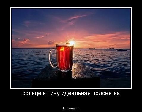 солнце к пиву идеальная подсветка