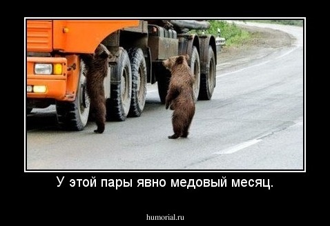 У этой пары явно медовый месяц.