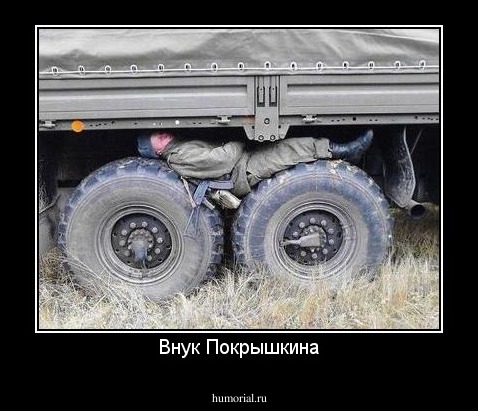Внук Покрышкина