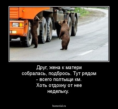 Друг, жена к матери собралась, подбрось. Тут рядом - всего полтыщи км. Хоть отдохну от нее недельку.